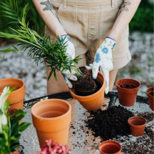 Ceramic Garden Pots - Image 2